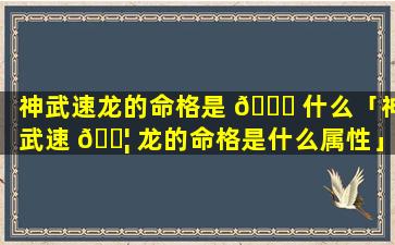 神武速龙的命格是 🐈 什么「神武速 🐦 龙的命格是什么属性」